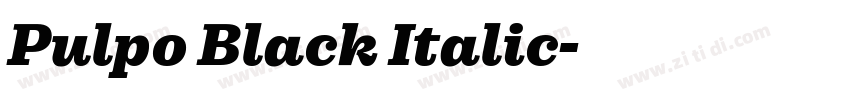 Pulpo Black Italic字体转换
